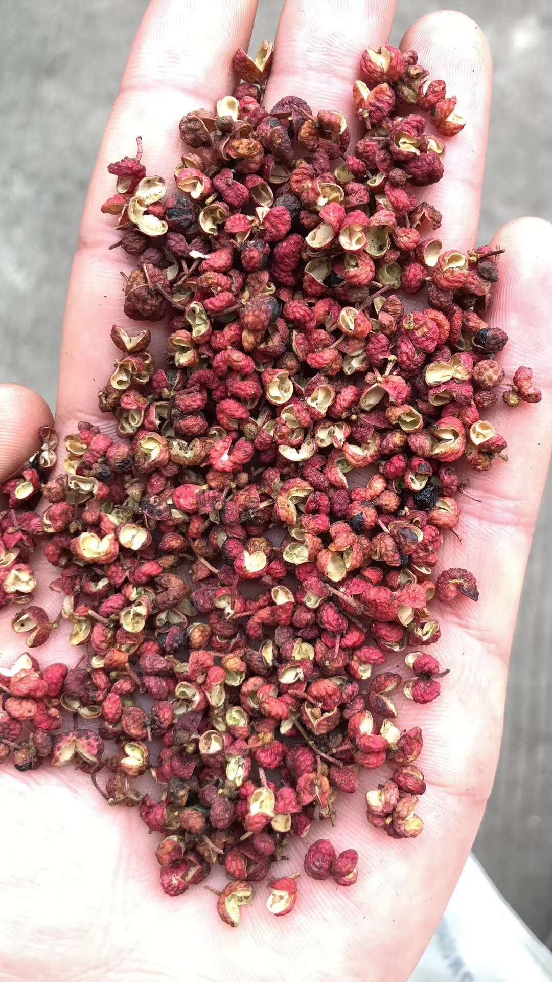 花椒烘干機多少錢一臺？家用花椒烘干機，重慶花椒烘干機廠家