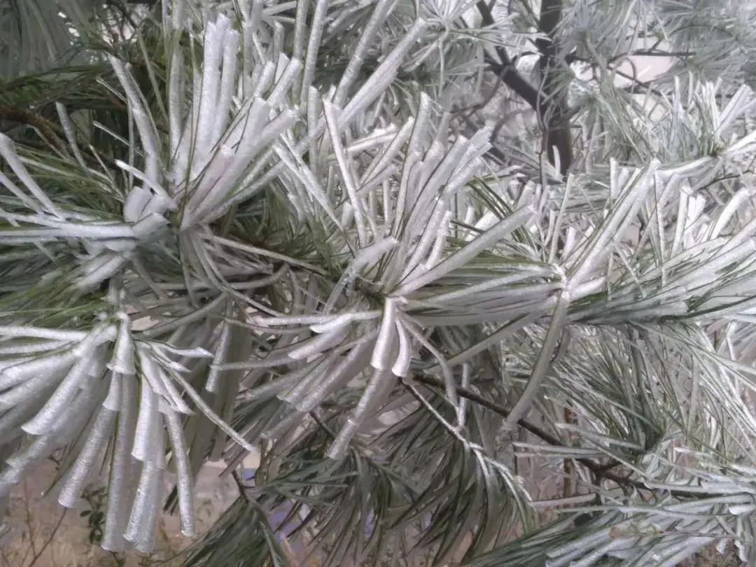 室外大雪紛飛，室內(nèi)溫暖如春，這種爐子取暖簡(jiǎn)直給力！
